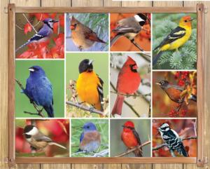 Songbirds Collage Jigsaw Puzzle By Springbok