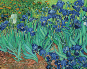 Irises Van Gogh Irises Jigsaw Puzzle By Pomegranate