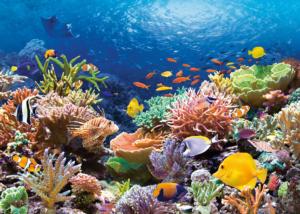 Coral Reef Fishes Beach & Ocean Jigsaw Puzzle By Castorland