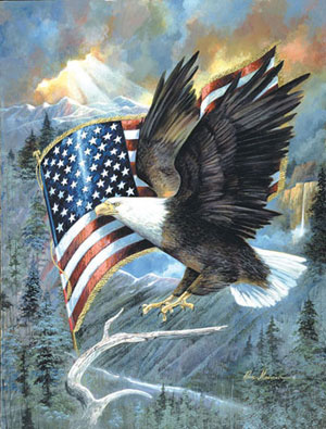 American Eagle Military Jigsaw Puzzle By SunsOut