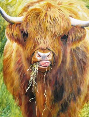 Highland Cow Animals Jigsaw Puzzle By All Jigsaw Puzzles