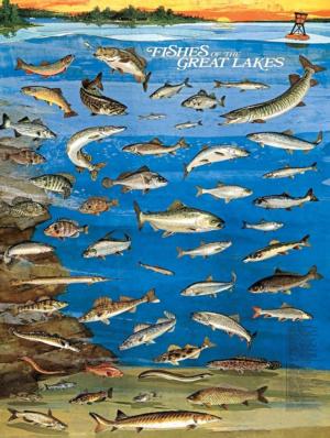 Fishes of the Great Lakes Collage Jigsaw Puzzle By New York Puzzle Co