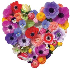 Flora Heart Shaped Puzzle Valentine's Day Jigsaw Puzzle By Galison