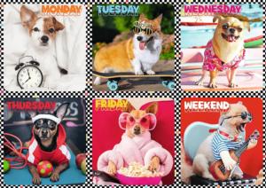 Happy Dogs Collage Jigsaw Puzzle By Trefl