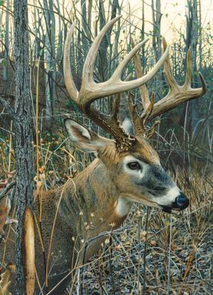 White-tailed Deer Father's Day Jigsaw Puzzle By Cobble Hill
