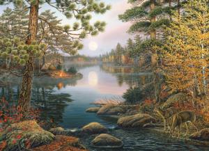 Deer Lake Lakes & Rivers Jigsaw Puzzle By Cobble Hill