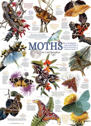 Moth Collection Butterflies and Insects Jigsaw Puzzle By Cobble Hill