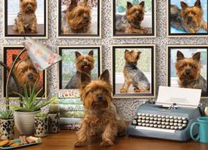 Yorkies Are My Type Dogs Jigsaw Puzzle By Cobble Hill