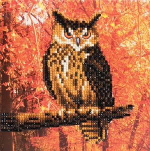 Autumn Owl Crystal Art Card Kit By Crystal Art