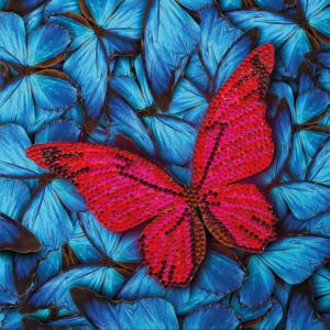 Butterfly Crystal Art Card Kit By Crystal Art