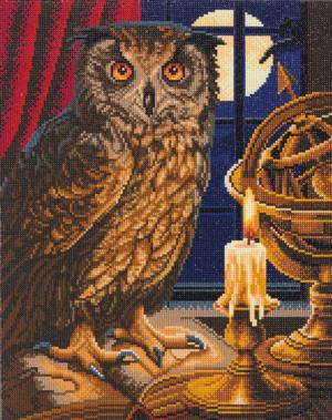 The Astrologer Owl  Crystal Art Large Framed Kit By Crystal Art