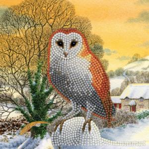 Winter Owl Crystal Art Card Kit By Crystal Art