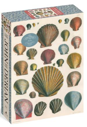 Shells Beach & Ocean Jigsaw Puzzle By Workman Publishing