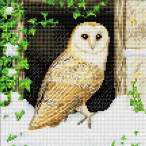 Snowy Owl Crystal Art Medium Framed Kit By Crystal Art