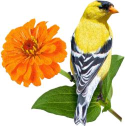 I Am Goldfinch Birds Jigsaw Puzzle By Madd Capp Games & Puzzles