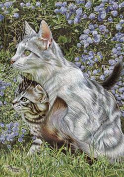 Complicity - Scratch and Dent Cats Jigsaw Puzzle By Pierre Belvedere