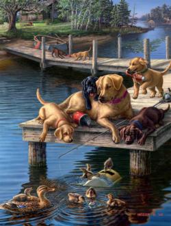 Summer School Lakes / Rivers / Streams Jigsaw Puzzle By Buffalo Games