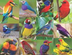 Birds Of Paradise Birds Jigsaw Puzzle By Springbok