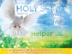 Promise Puzzle - God's Holy Spirit Birds Large Piece By Fairhope Direct