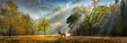 Morning Salute Landscape Panoramic Puzzle By Heye