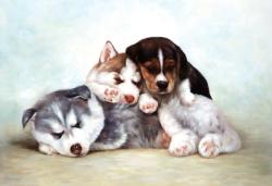 Friends Dogs Jigsaw Puzzle By Tomax Puzzles