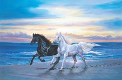 Along The Beach Horses Jigsaw Puzzle By Tomax Puzzles