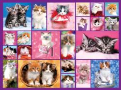Kittens II Cats Jigsaw Puzzle By Lafayette Puzzle Factory