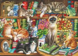 Puss In Books Bookshelves Jigsaw Puzzle By Gibsons