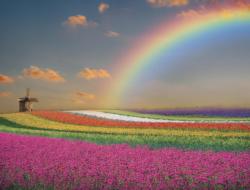 Scenic Rainbow Landscape Jigsaw Puzzle By All Jigsaw Puzzles