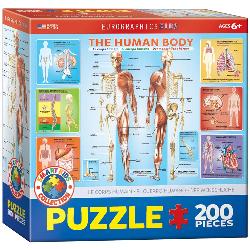 The Human Body Anatomy & Biology Children's Puzzles By Eurographics