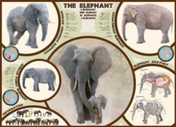 The Elephant Elephants Jigsaw Puzzle By Eurographics