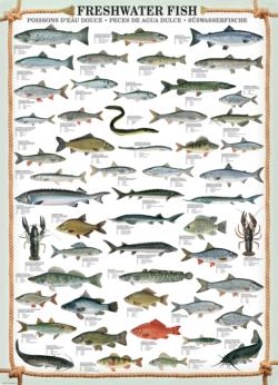 Freshwater Fish Pattern / Assortment Jigsaw Puzzle By Eurographics