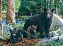 New Discoveries Bears Jigsaw Puzzle By Eurographics