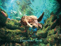 Loggerhead Turtle Under The Sea Jigsaw Puzzle By Heritage Puzzles
