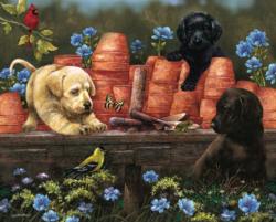 Puppies at Play Dogs Jigsaw Puzzle By Hart Puzzles