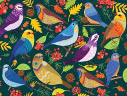 Feathered Friends Birds Jigsaw Puzzle By Willow Creek Press