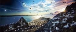 Bass Rock, Scotland, Day to Night™ Sunrise / Sunset Jigsaw Puzzle By 4D Cityscape Inc.