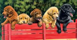 All Aboard Dogs Jigsaw Puzzle By SunsOut