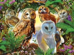 A Parliament of Owls Birds Jigsaw Puzzle By SunsOut