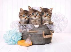 Kittens and Soap Cats Jigsaw Puzzle By Clementoni