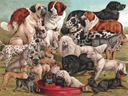 Dog Breeds Dogs Jigsaw Puzzle By New York Puzzle Co