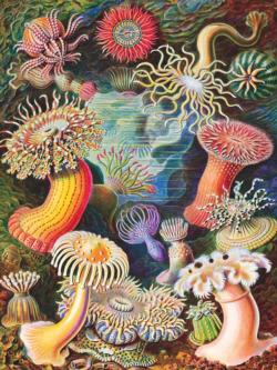 Sea Anemones Under The Sea Jigsaw Puzzle By New York Puzzle Co
