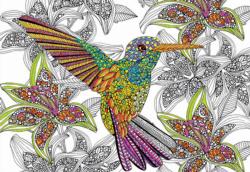 Hummingbird Adult Coloring Coloring Puzzle By Educa
