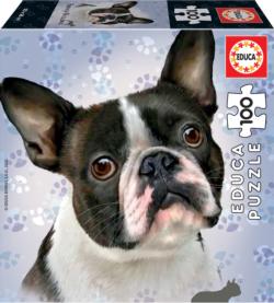 French Bulldog Dogs Jigsaw Puzzle By Educa