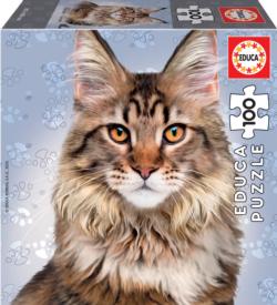 Main Coon Cats Jigsaw Puzzle By Educa
