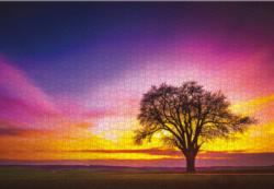 Rainbow Sky Jigsaw Puzzle By Lang