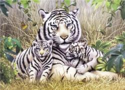 White Tiger Family 3 1000 Piece Puzzle Tigers Jigsaw Puzzle By Puzzlelife