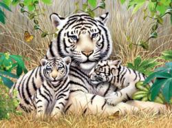 White Tiger Family 3 500 Piece Puzzle Tigers Jigsaw Puzzle By Puzzlelife