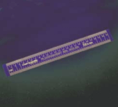 Radiography Glo-Ruler W/Scale