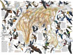 Eastern Bird Migration - Scratch and Dent Maps / Geography Jigsaw Puzzle